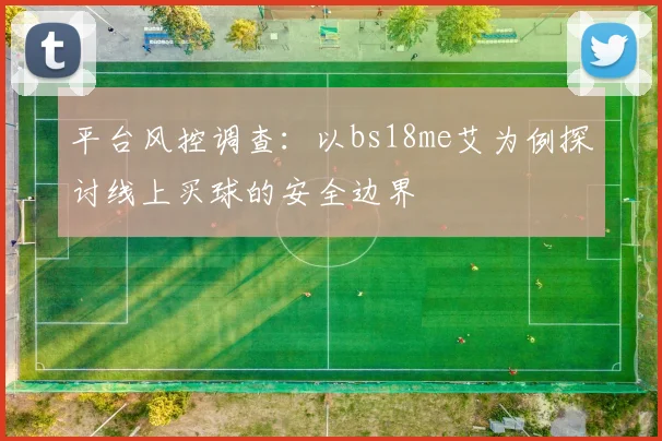 平台风控调查:以bs18me艾为例探讨线上买球的安全边界